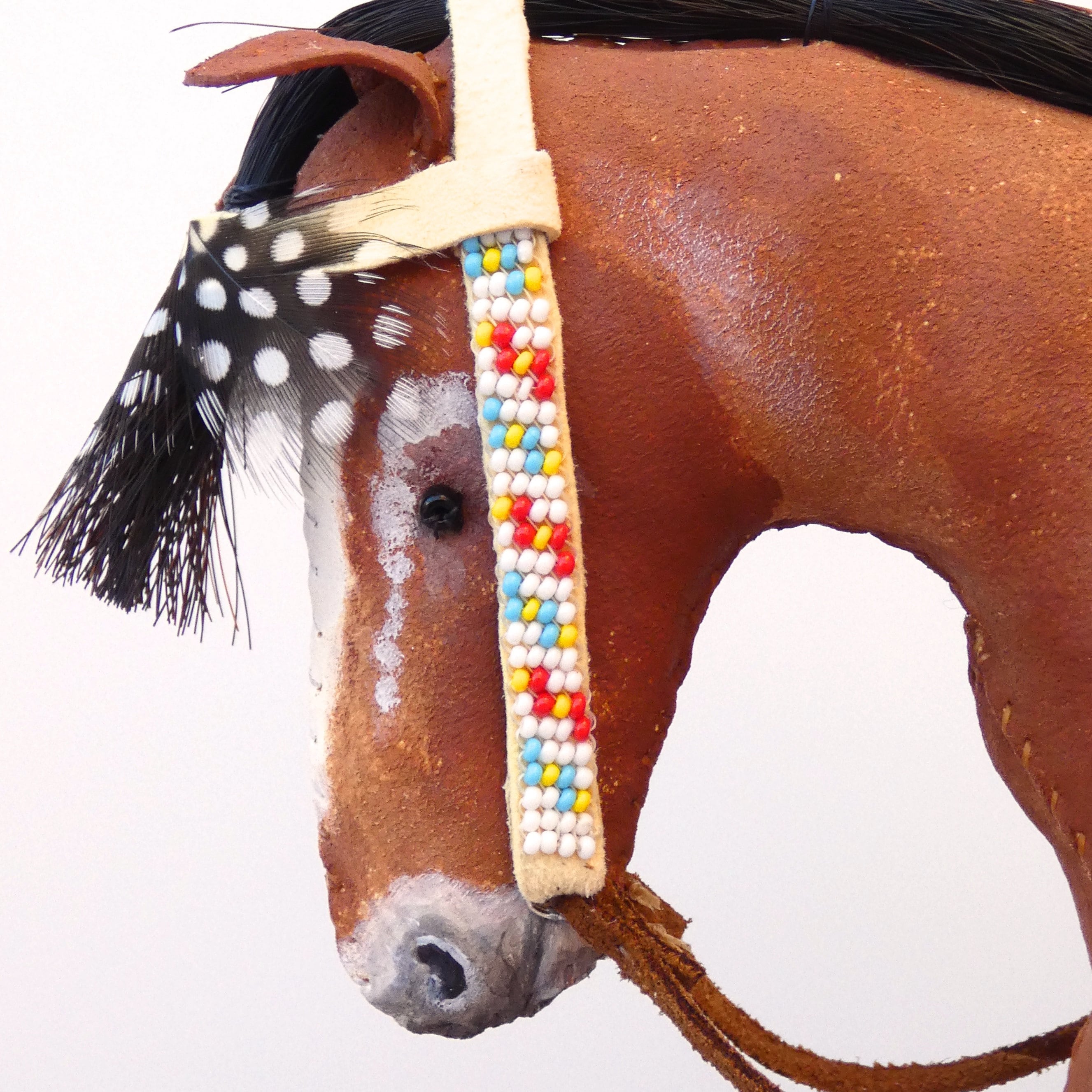 Appaloosa horse - Indian breed raised by Native Americans - EQUISHOP  Equestrian Shop