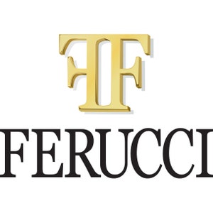 ferucci spiked loafers