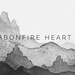 Bonfire Heart