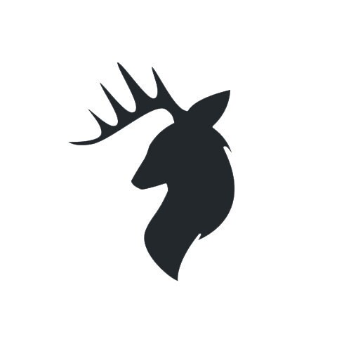 TheWildBuck store logo
