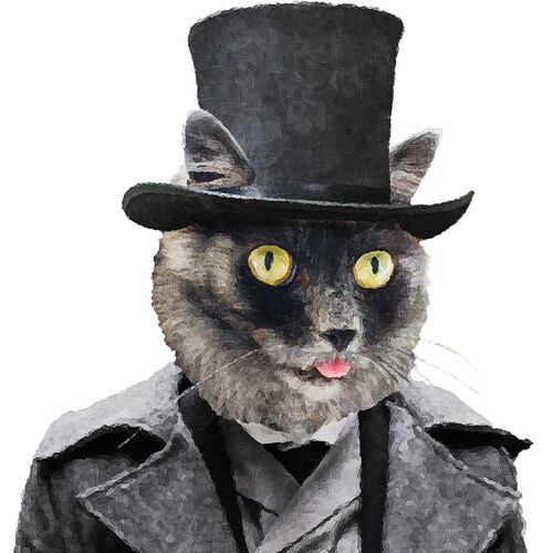 DarkMaskedCats store logo