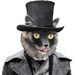 DarkMaskedCats store logo