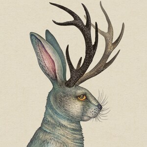 The Natural History of Cryptid Creatures Picture Book - Etsy