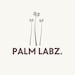 PALMLABZ