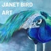 Janet Bird