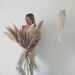 Manon Hervet