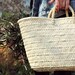 Dream Basket