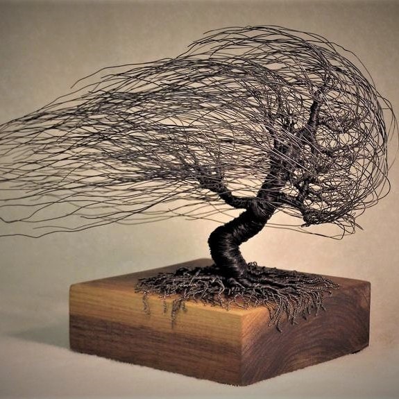 Bonsai informale contorto, albero della vita avvolto in filo di