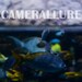 Camerallure