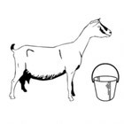 MilkandPail