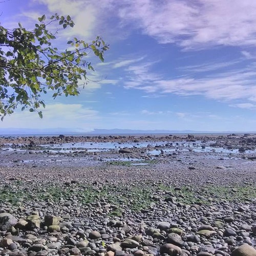 20 Grey/brown Flat Rocks, 3-4 Inches Rocks, Cairn Stones, PNW