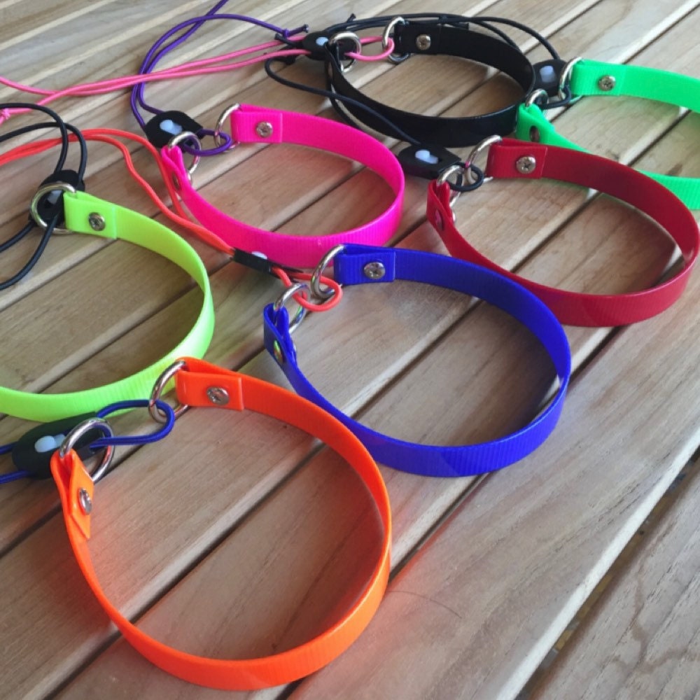 Bungee dog collar cheap
