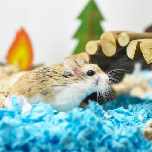 Get Unter dem meer tanzdekorationen Free HD Unter Dem Meer Tanzdekorationen