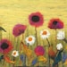 Silvia Sapsford