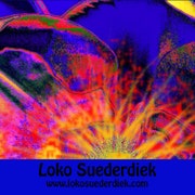 Fine Art By Loko By Artedelsol On Etsy