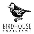 BirdhouseTaxidermy