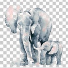 TheEyeletElephant