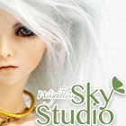 WSkyStudio