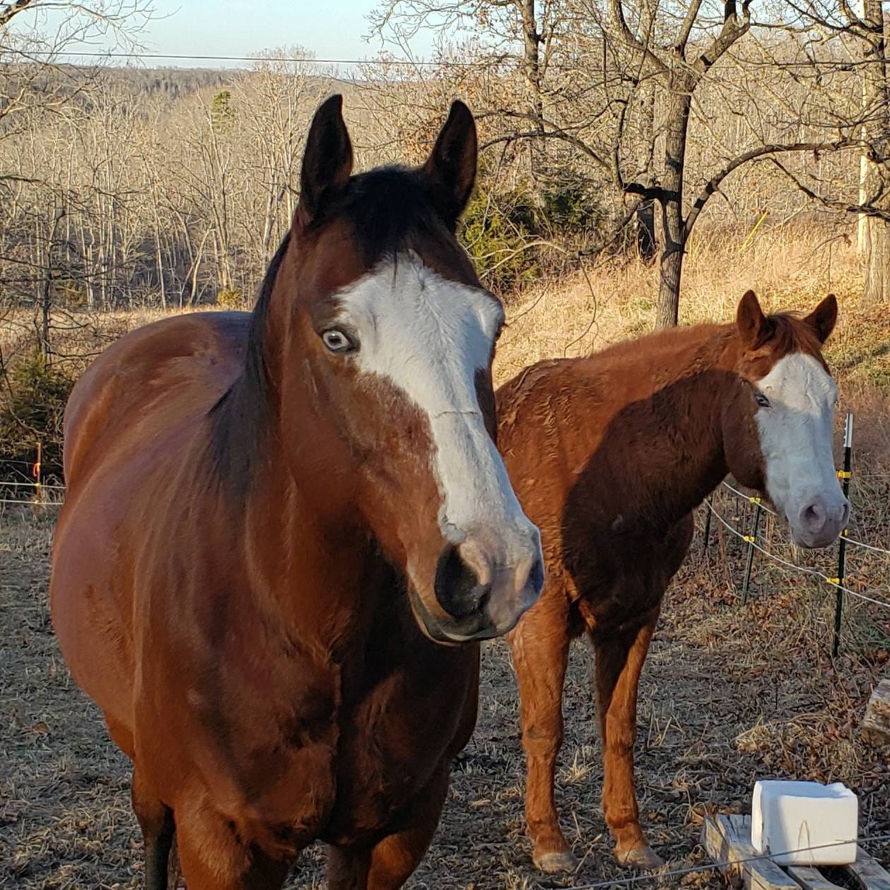 Craft Supplies & Tools Materials Hallmark AcidFree LigninFree Design