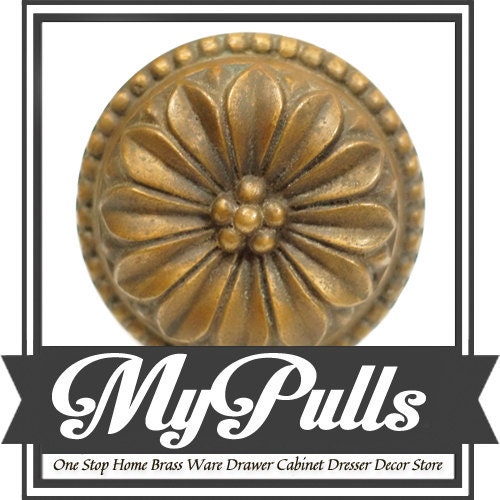 MyPulls store logo