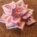 Owner of <a href='https://www.etsy.com/shop/CharlieKnowsHairBows?ref=l2-about-shopname' class='wt-text-link'>CharlieKnowsHairBows</a>