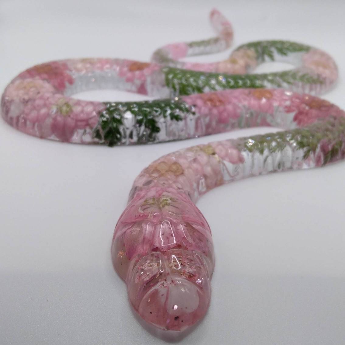 beautiful snakes - Google Search  Répteis, Belas cobras, Serpente