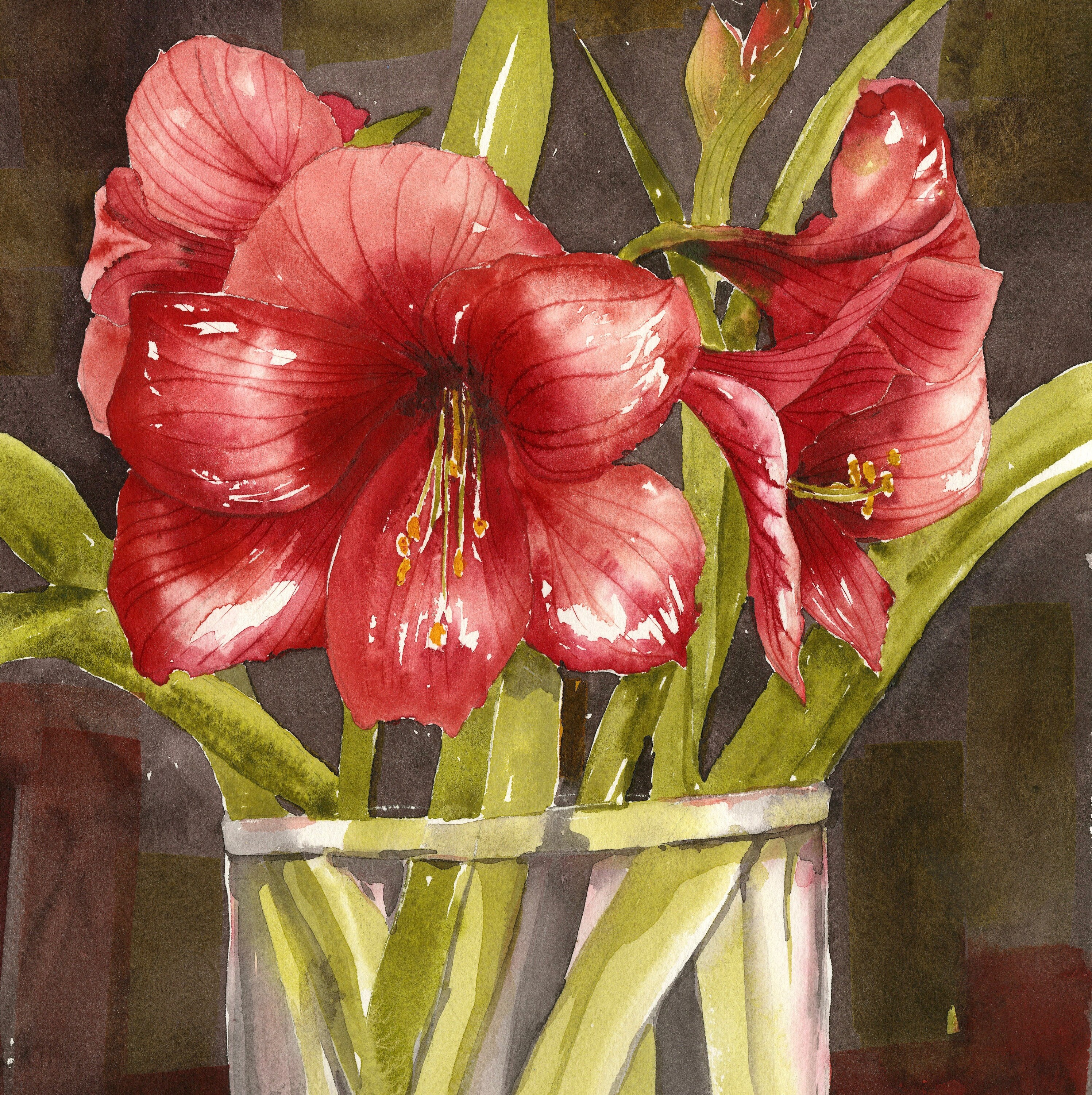 Red Amaryllis Watercolor Painting/ Christmas Flower Art/ Gift