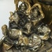 7Monks