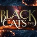 BlackCatsMedia store logo