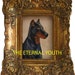 Theeternalyouth