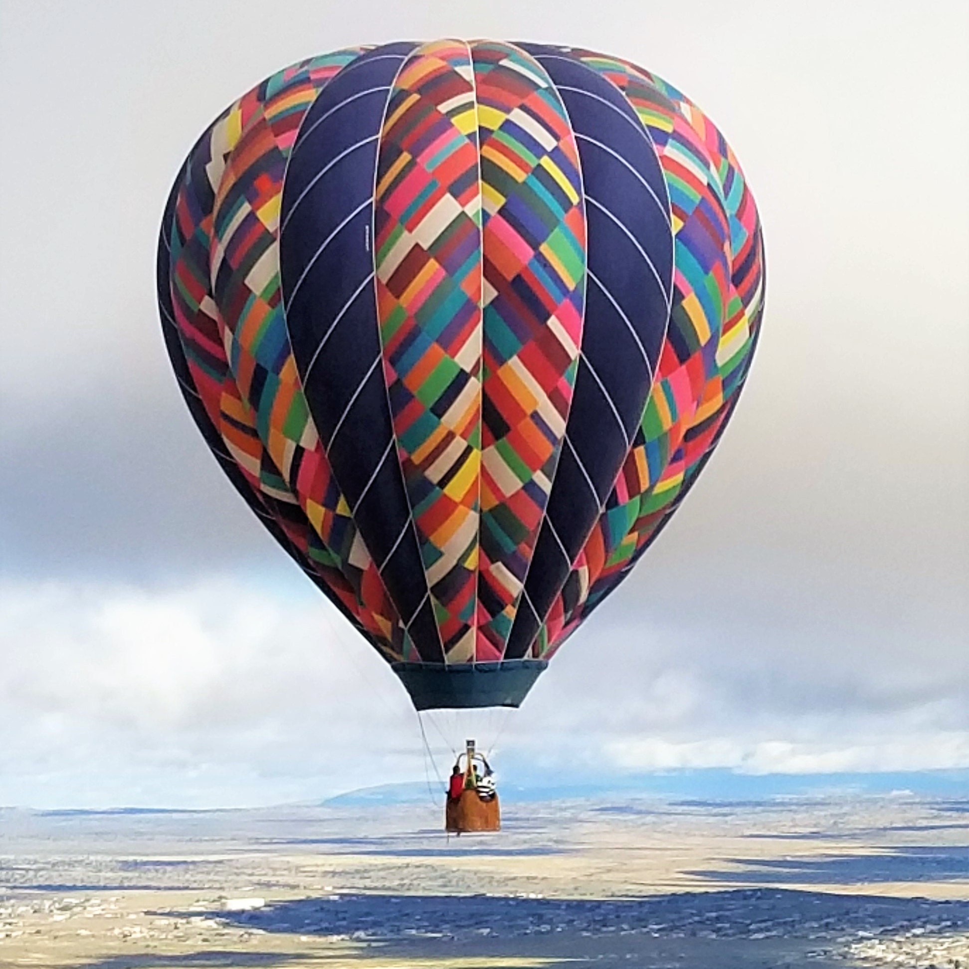 Japan Vintage Ceramic Lego Grape Sugar Bowl 1960s Dining & Serving