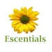 Escentials Oils and Aromatherapy