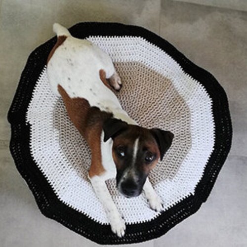 MyDogKnows store logo