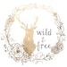 shopwildandfree