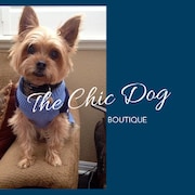 Repurposed Monogram Crisscross Dog Harness, Luxury Couture Boutique Designer  Dog Clothes Bark N Boujee