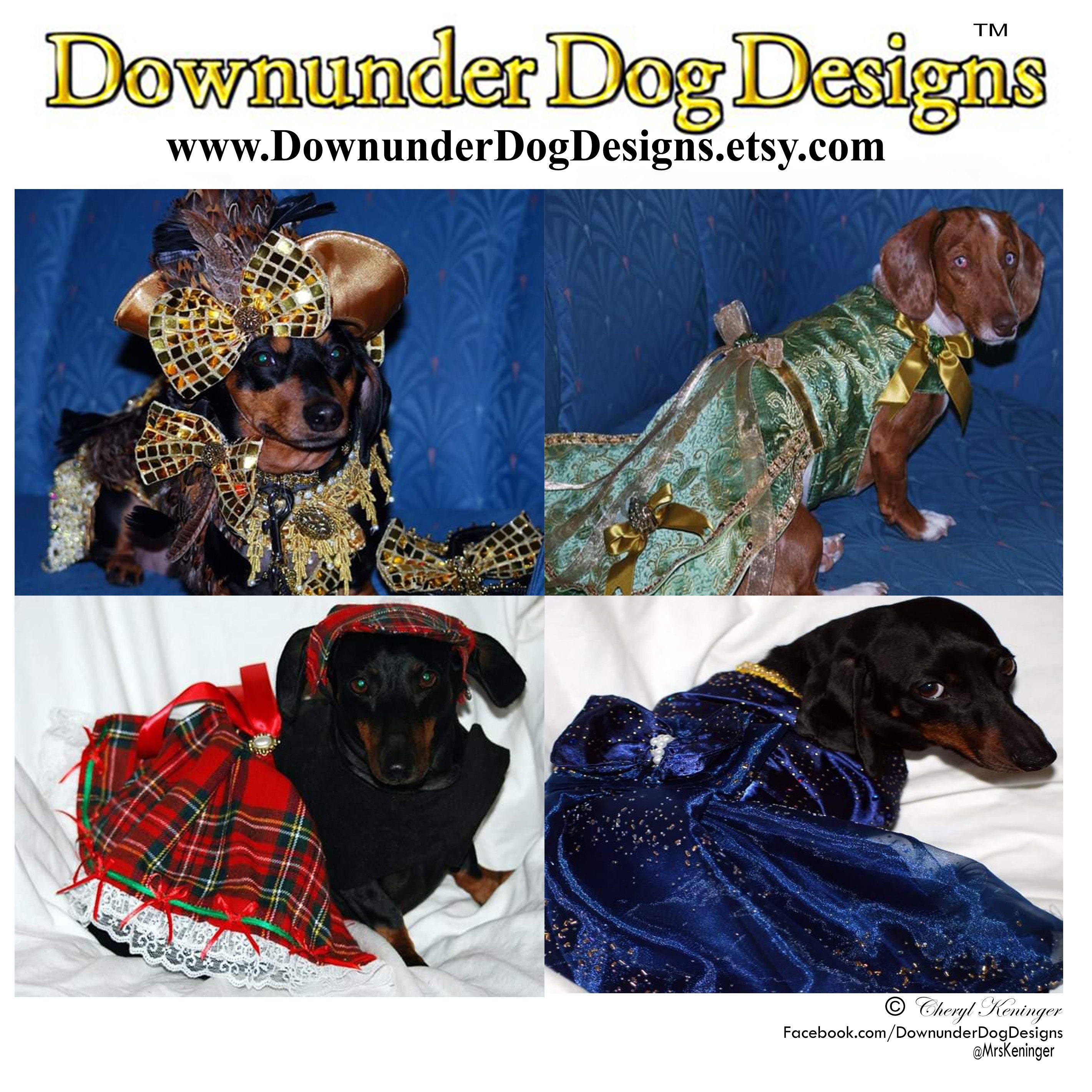 Skunk Kostum Halloween Hundekostum Katzenkostum Haustierkostum Etsy