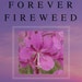 ForeverFireweedGifts