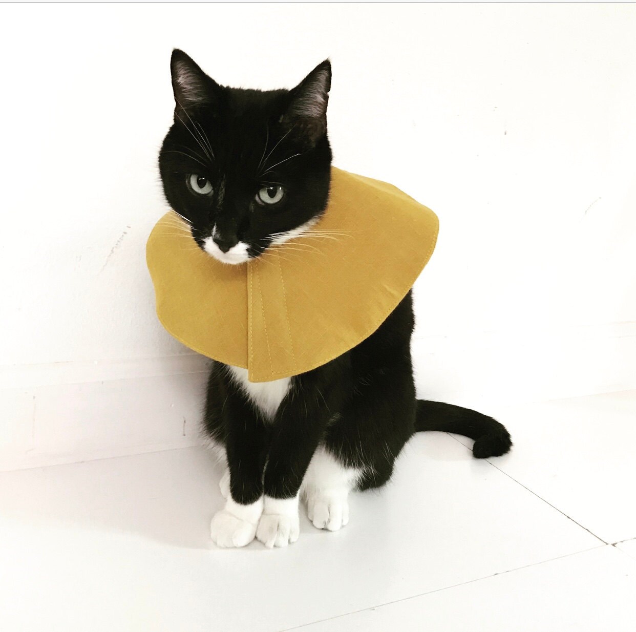 cone of fashion Large size soft cat cone Japanese buddha crane blue cotton cat soft cone collar cone of fashion Large size soft cat cone Japanese buddha crane blue cotton cat soft cone collar