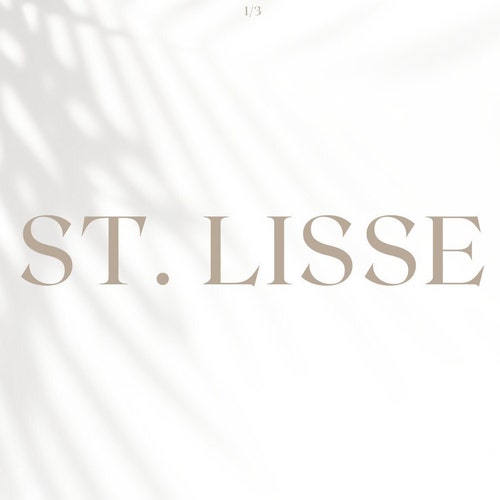 Stlissec store logo