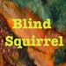 BlindSquirrel
