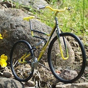 Valdoie. Le peloton de vélos miniatures de Bruno Steullet