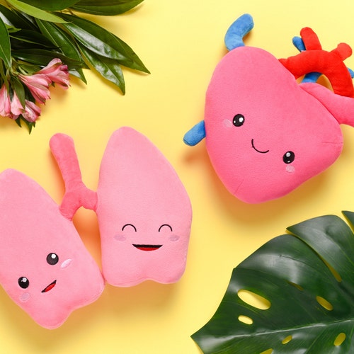 spread kindness. stay nerdy. plush organs toys by Nerdbugs on Etsy