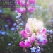 BeautyandGrit