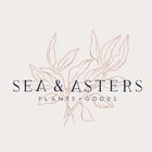 seaandasters