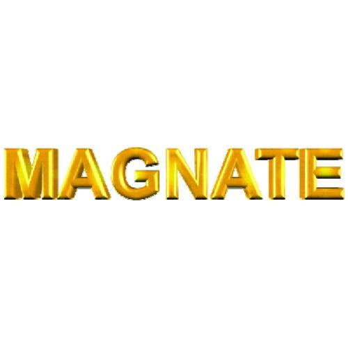 Magnate 2706 Surface Planing Bottom Cleaning Router Bit 2 Cutting