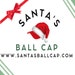 Santa's Elf