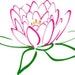 Pink Lotus Natural Care