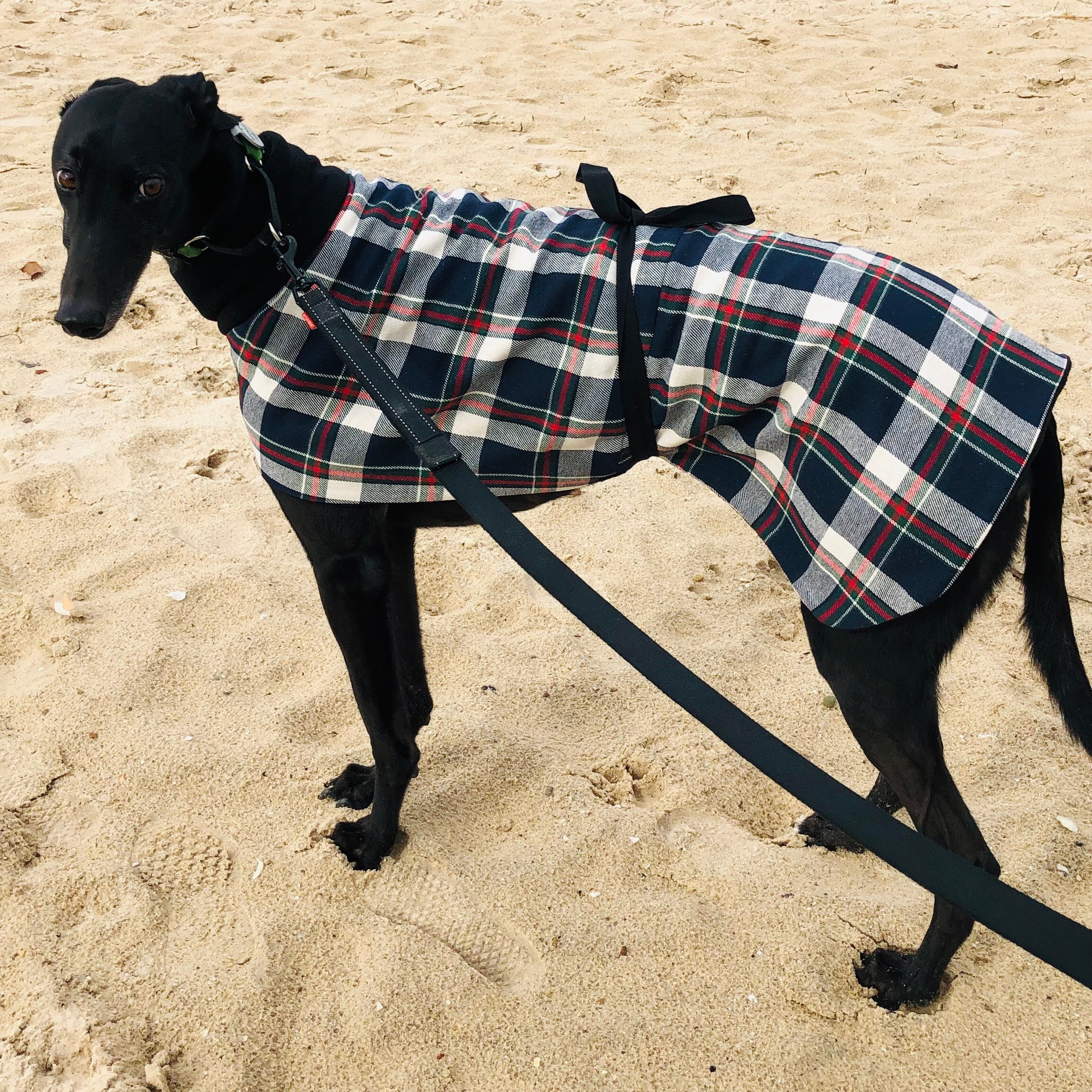 Greyhound or Whippet coat grey and black wool check