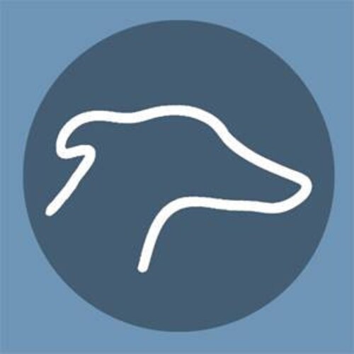 Rapiddogwear store logo
