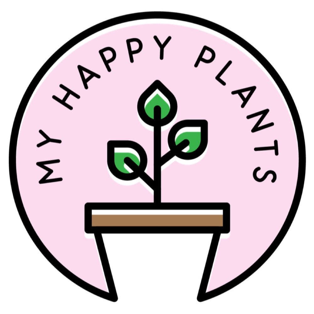 Affordable & Happy plants delivered right to your by MyHappyPlants